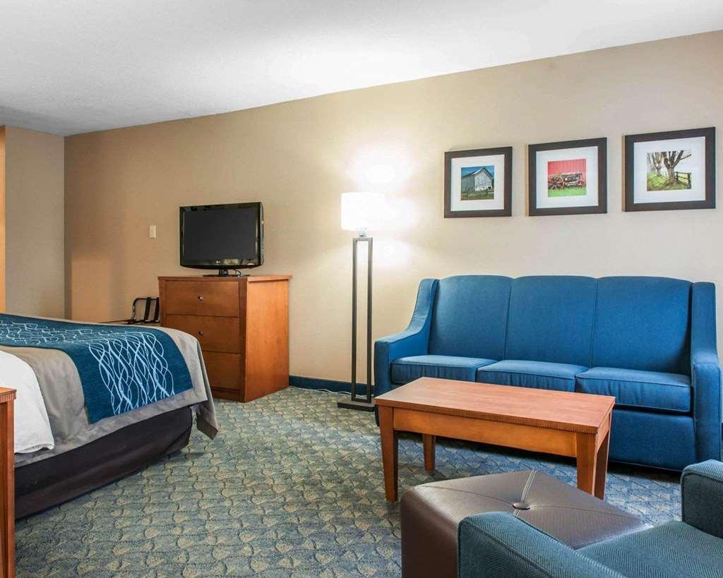 Comfort Inn & Suites Napoleon חדר תמונה