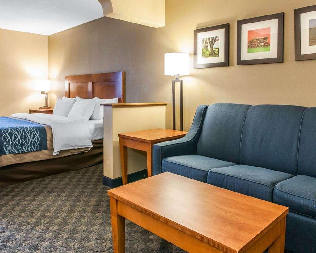 Comfort Inn & Suites Napoleon חדר תמונה
